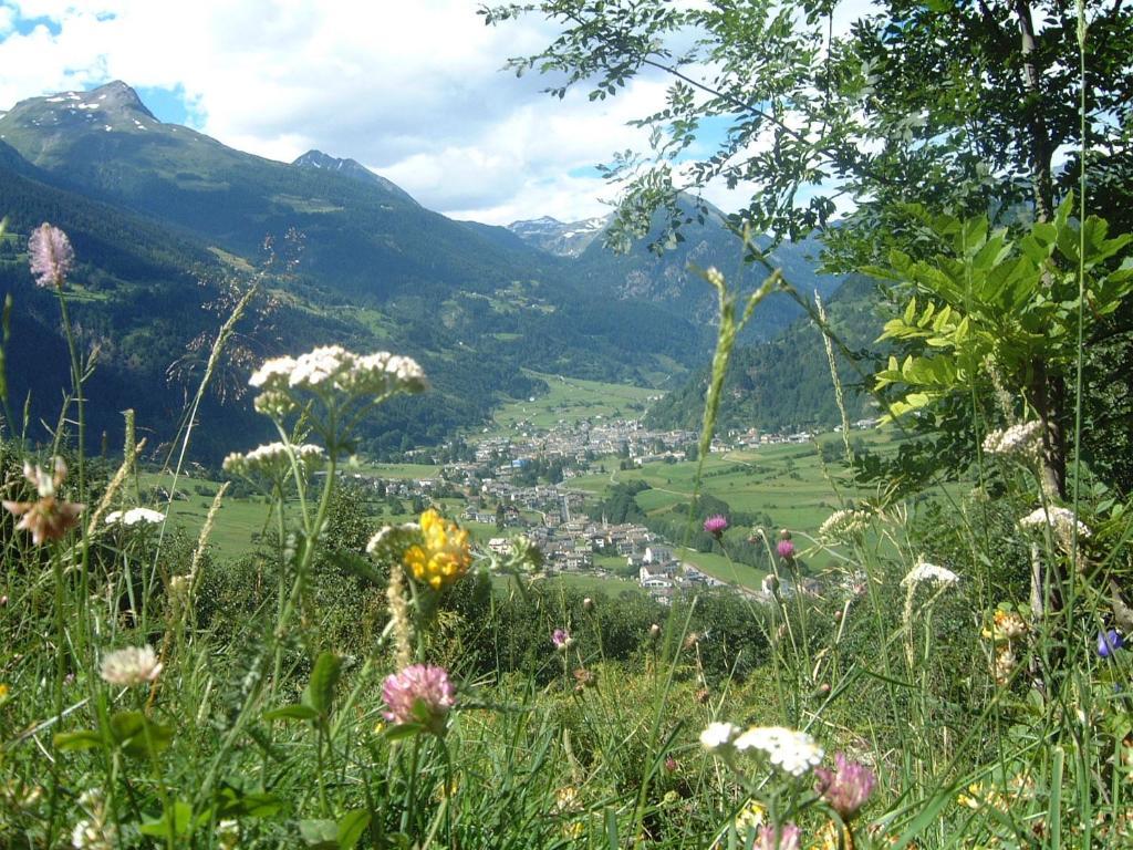 Croce Bianca Inn Poschiavo